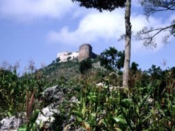 citadelle
